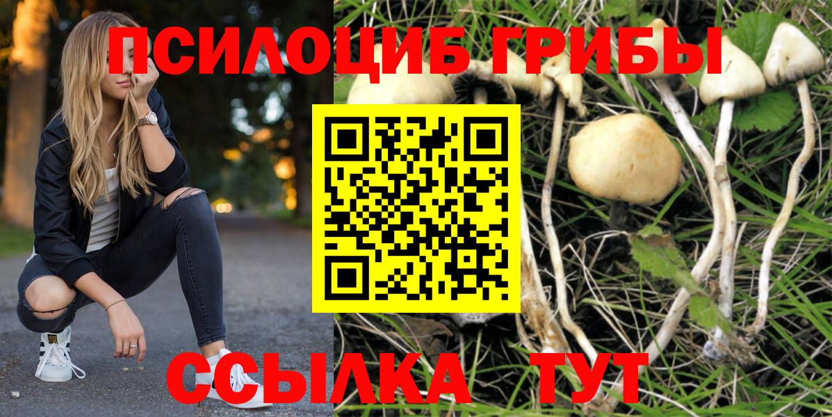 Псилоцибиновые грибы Psilocybine cubensis  Псилоцибиновые грибы мухоморы  Нижнекамск  Вход с VPN 